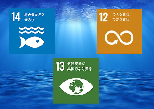 14.海の豊かさを守ろう
13.希少変動に具体的な対策を
12.つくる責任 つかう責任